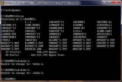 duke nukem II error.jpg