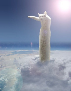 long cat clouds.jpg