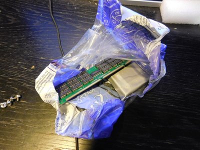 Down the rabbit hole.jpg