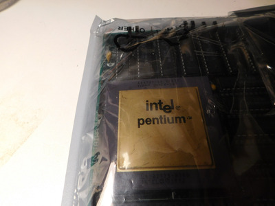 SX837 Gold Top Pentium 66.jpg