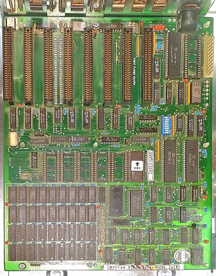 XT BOARD-1.jpg