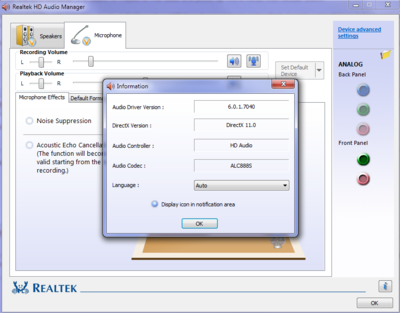 Realtek mic settings.PNG