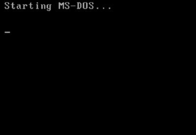 MS-DOS Hangs.png