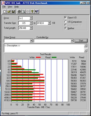 WDC 80gb atto.JPG