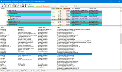 Process Explorer screenshot.jpg