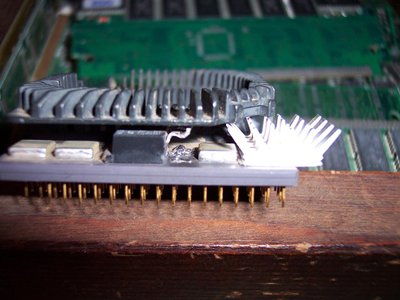 100_1396 (Large).JPG