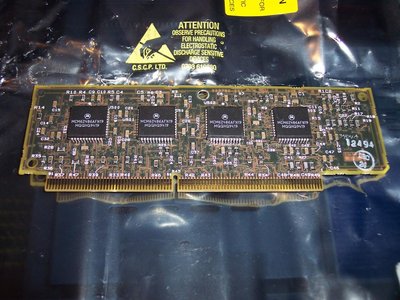 100_1450 (Large).JPG