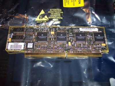 100_1448 (Large).JPG