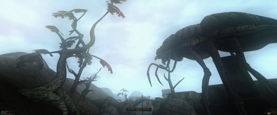 Morrowind 2021-10-10 20-31-48.jpg