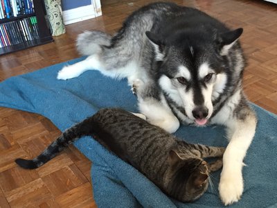 Frost and Oliver.jpg