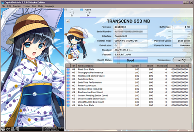 Transcend 1Gb info.png