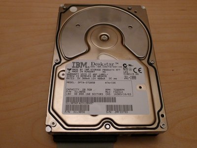 IBM Deskstar 01.JPG