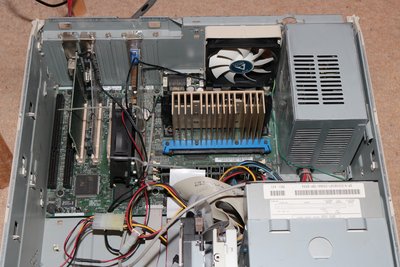 IMG_9821 (Custom).jpeg