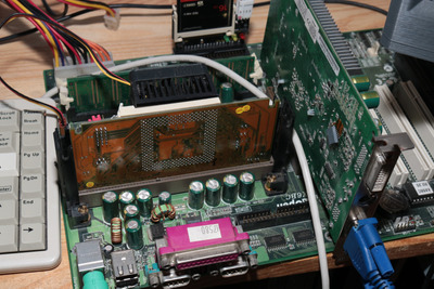 IMG_3155 (Custom).JPG