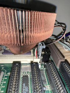 IMG_3390 (Custom).JPG