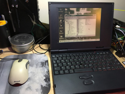 IMG_1195 (Custom).JPG