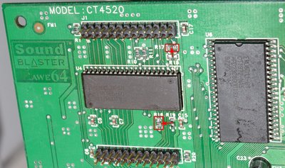 IMG_7995-crop (Large) - Copy.jpg