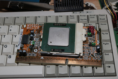 IMG_3157 (Custom).JPG