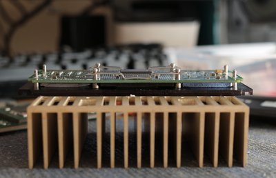 IMG_9818b (Custom).jpg