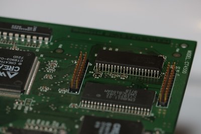 IMG_7973 (Large).jpeg