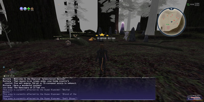 ffxi_fog_bug.jpg