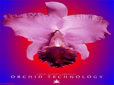 orchid1.gif