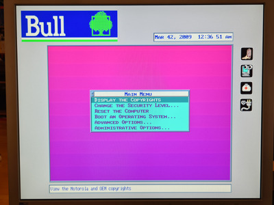 bull-3.jpg