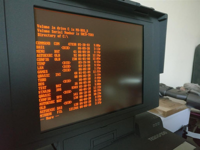 IMG_20200611_163839 (Medium).jpg