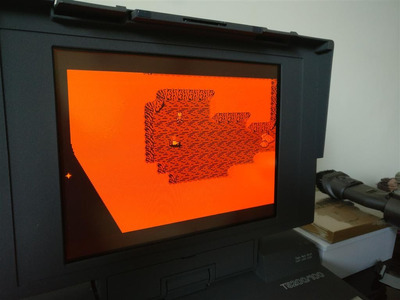 IMG_20200611_163959 (Medium).jpg