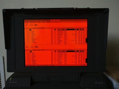 IMG_20200611_163750 (Medium).jpg