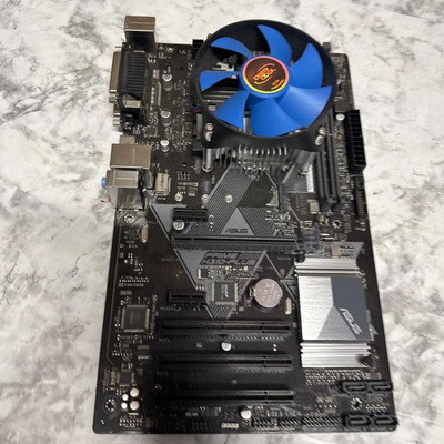 H310.jpg