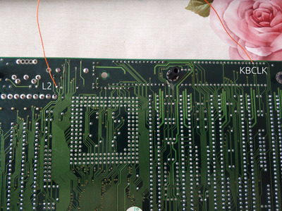 IMG_20231021_144458 copy.jpg