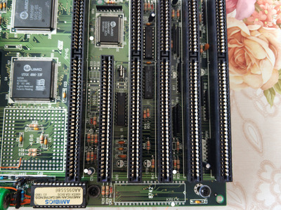 IMG_20231021_145231 copy.jpg