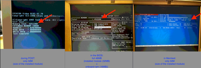 32MB_Module_plus_16MB_onboard.png